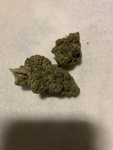 Watermelon cannabis strain, community photo 2