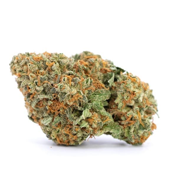 Wedding Pie cannabis strain, community photo 3