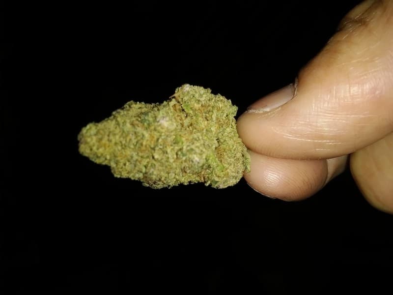 Wet Dream cannabis strain, community photo 1