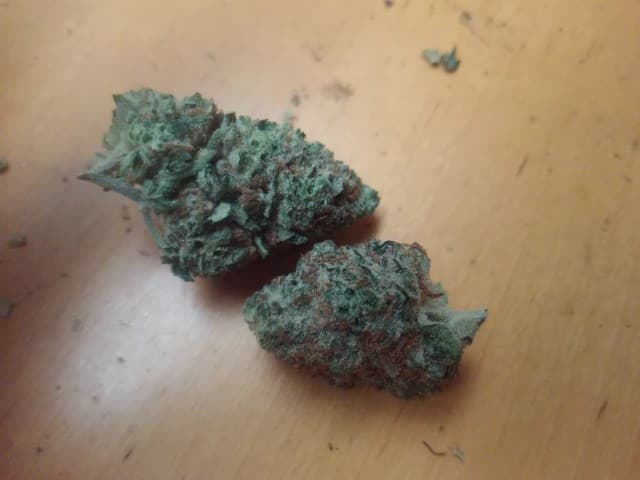 Wet Dream cannabis strain, community photo 3