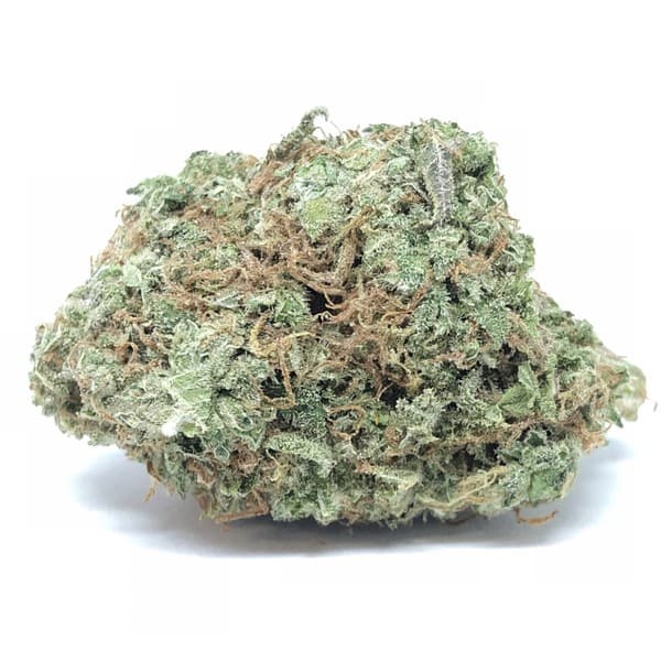White 99 cannabis strain, community photo 1
