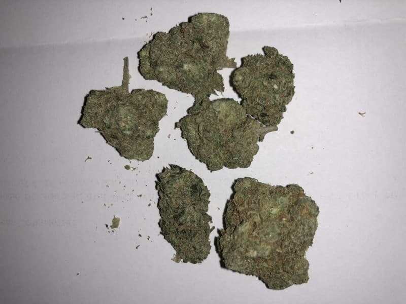 White 99 cannabis strain, community photo 3
