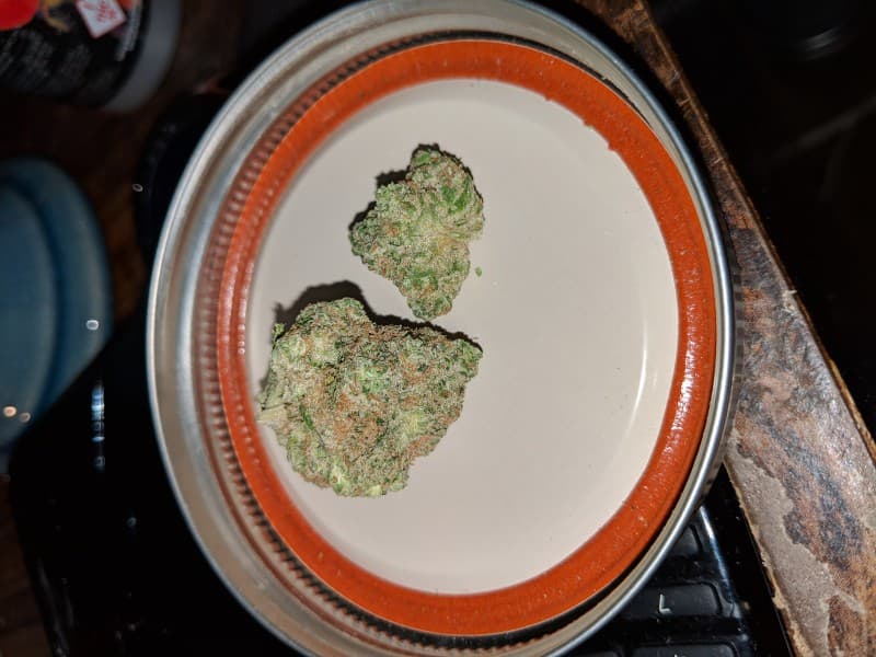 White 99 cannabis strain, community photo 4