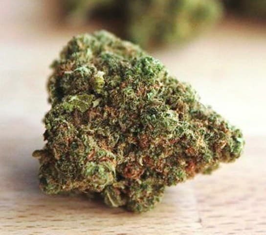 White 99 cannabis strain, community photo 5