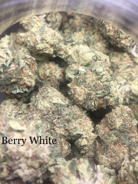 White Berry cannabis strain, community photo 2