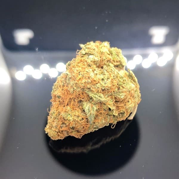 White Gold cannabis strain, community photo 1