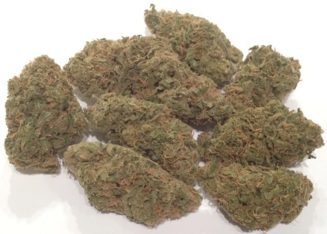 White Gold cannabis strain, community photo 5