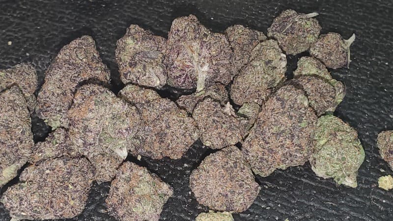 White Gummy cannabis strain, community photo 1