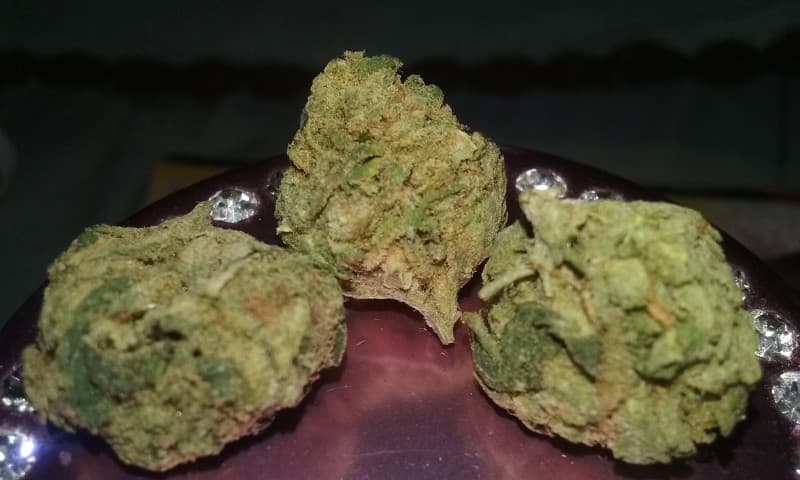 White Lotus cannabis strain, community photo 3