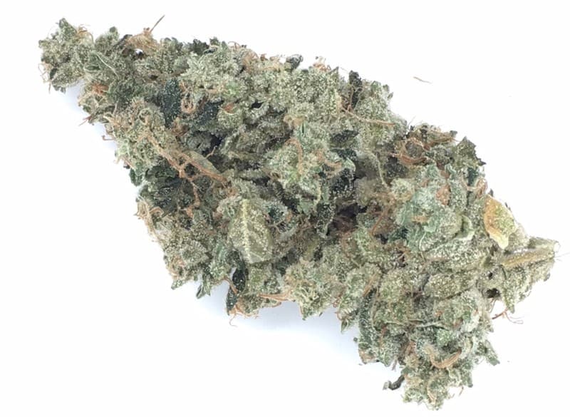White OG cannabis strain, community photo 1