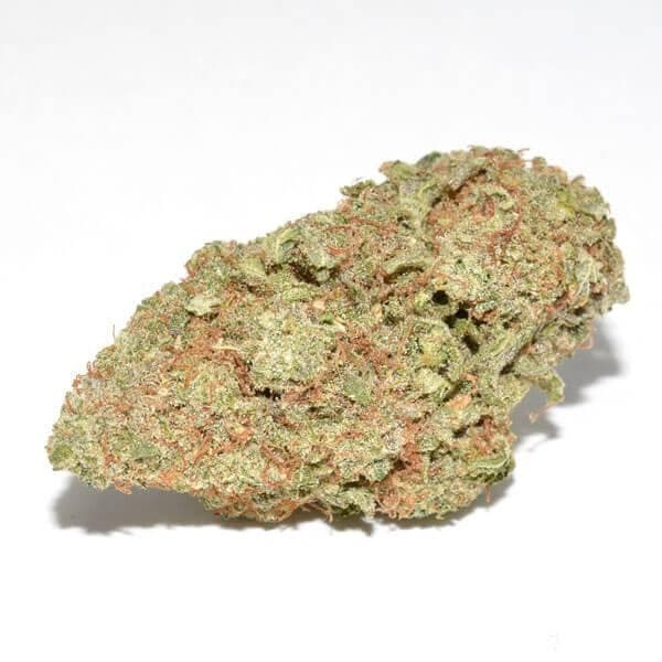 White Rhino cannabis strain, community photo 5