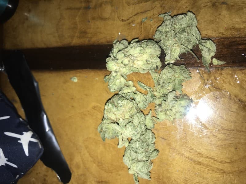 White Rhino cannabis strain, community photo 6