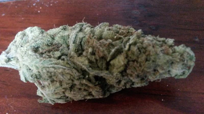 White Rhino cannabis strain, community photo 7