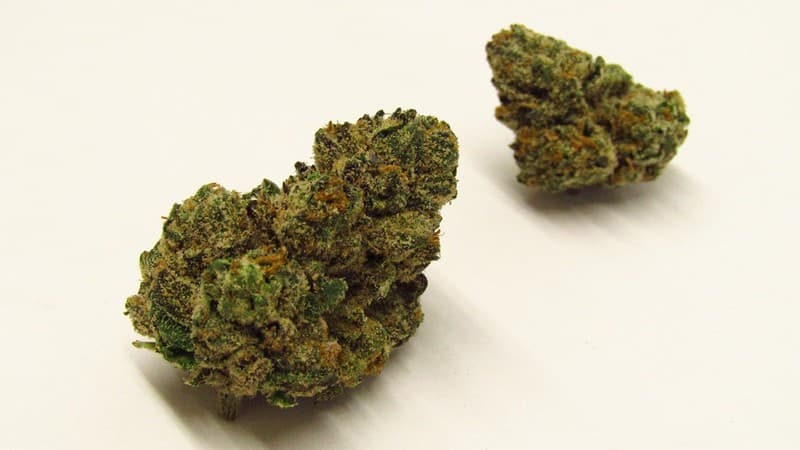 White Runtz cannabis strain, community photo 2