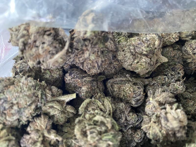 White Runtz cannabis strain, community photo 6