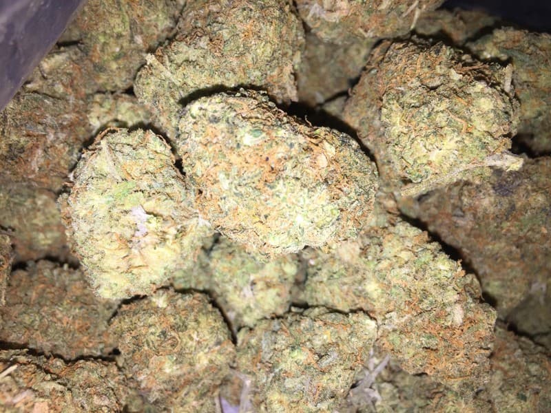 White Widow cannabis strain, community photo 1