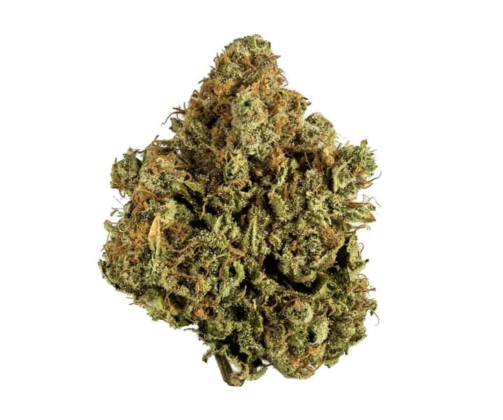 White Widow cannabis strain, community photo 2