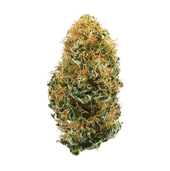 White Widow cannabis strain, community photo 3