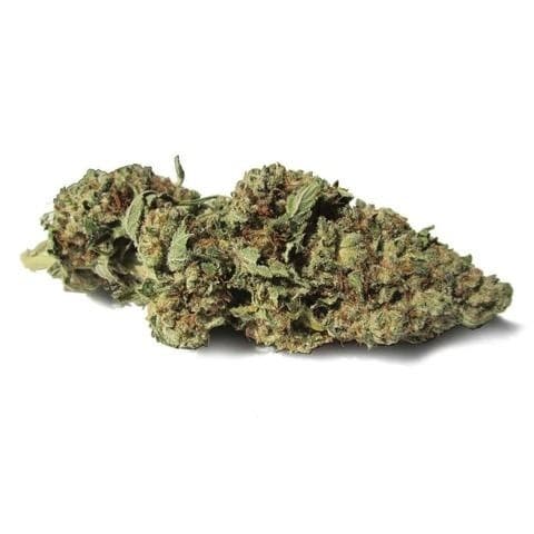 Willy Wonka cannabis strain, community photo 1