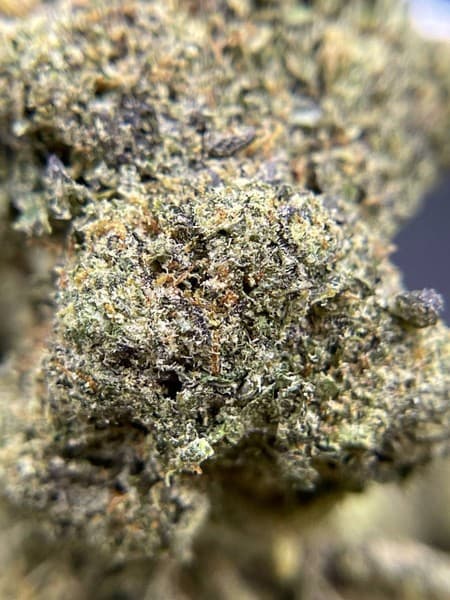 XJ-13 cannabis strain, community photo 1