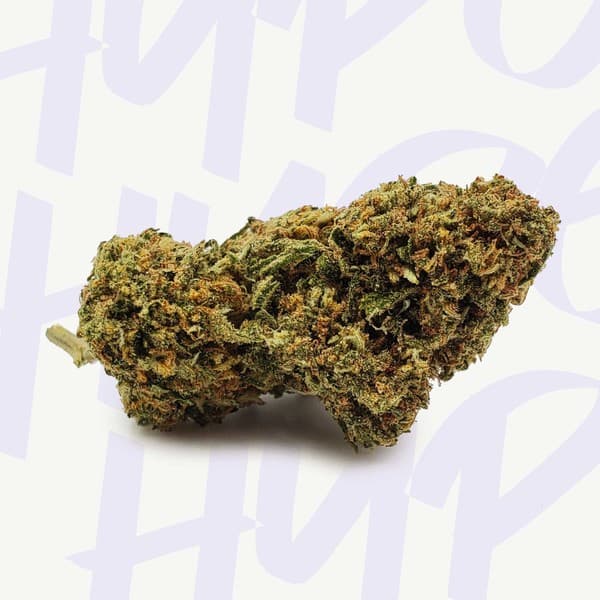 XJ-13 cannabis strain, community photo 2