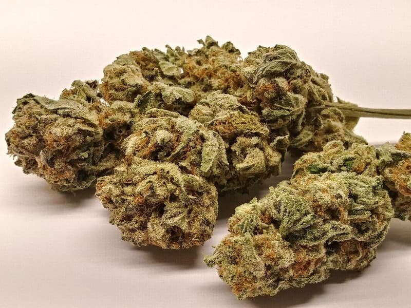 XXX cannabis strain, community photo 1