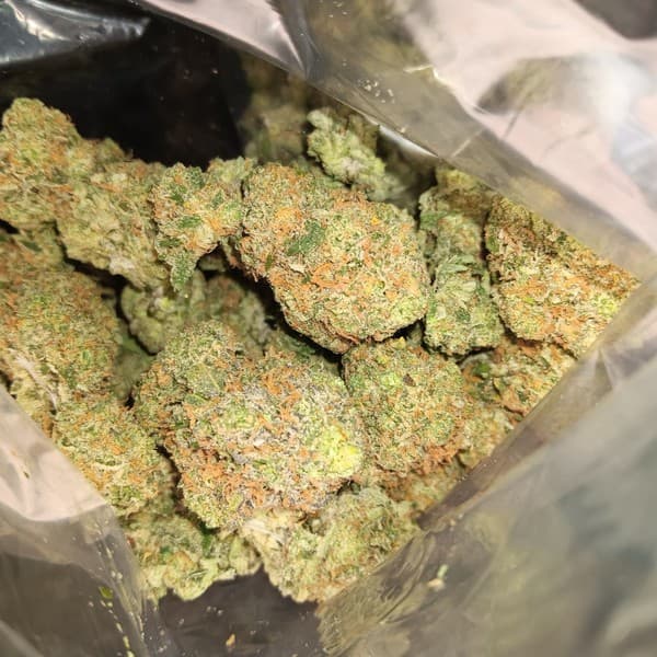 XXX cannabis strain, community photo 2