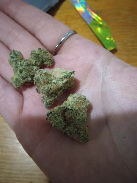XXX cannabis strain, community photo 3