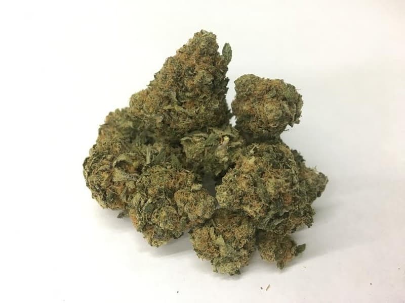 XXX OG cannabis strain, community photo 1