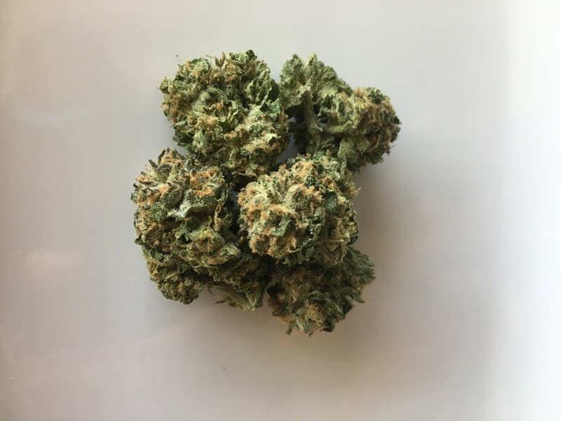 XXX OG cannabis strain, community photo 3
