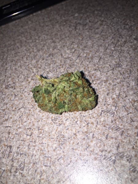 XXX OG cannabis strain, community photo 6