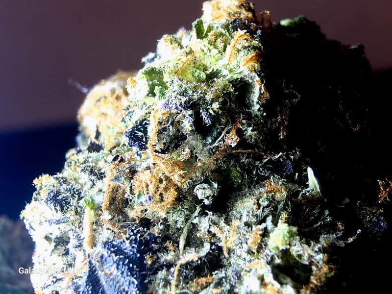 Ya Hemi cannabis strain, community photo 2