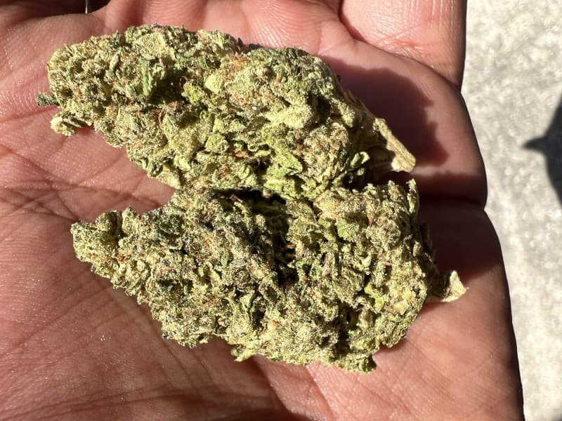 Ya Hemi cannabis strain, community photo 4