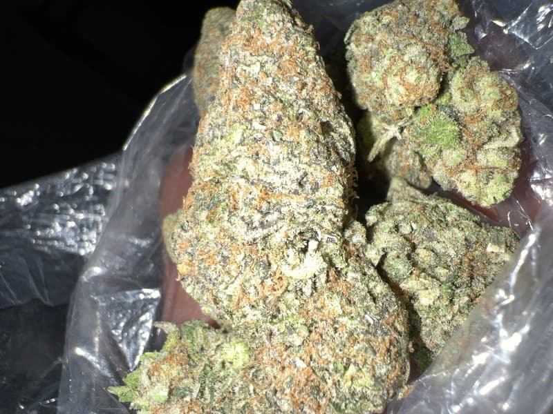 Ya Hemi cannabis strain, community photo 5