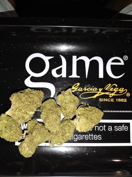 Ya Hemi cannabis strain, community photo 6