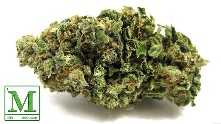 Yeti OG cannabis strain, community photo 1