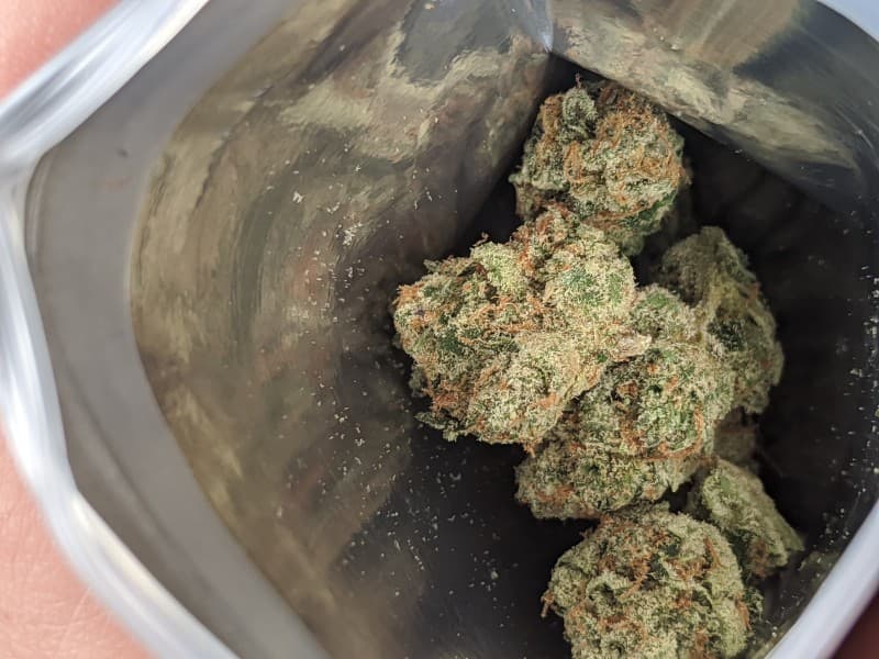 Yeti OG cannabis strain, community photo 2