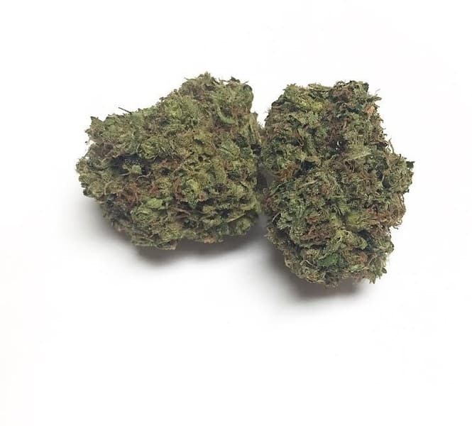 Yoda OG cannabis strain, community photo 1