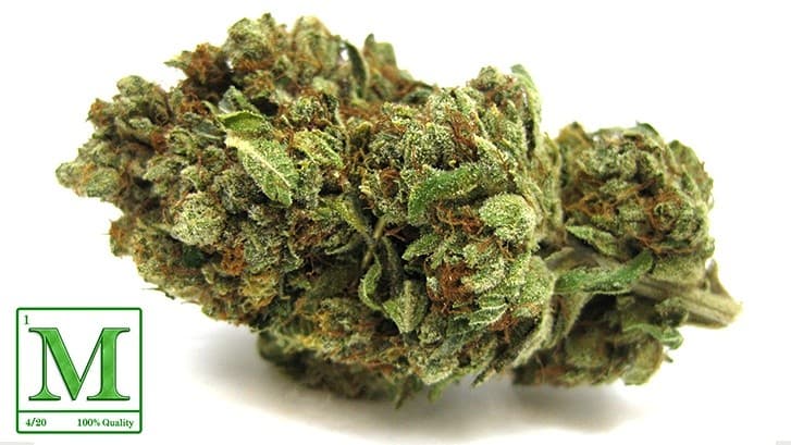 Yoda OG cannabis strain, community photo 2