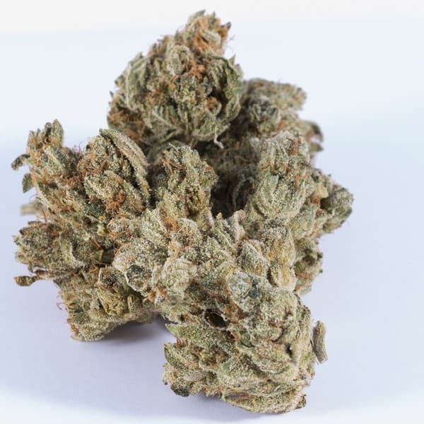Yoda OG cannabis strain, community photo 3
