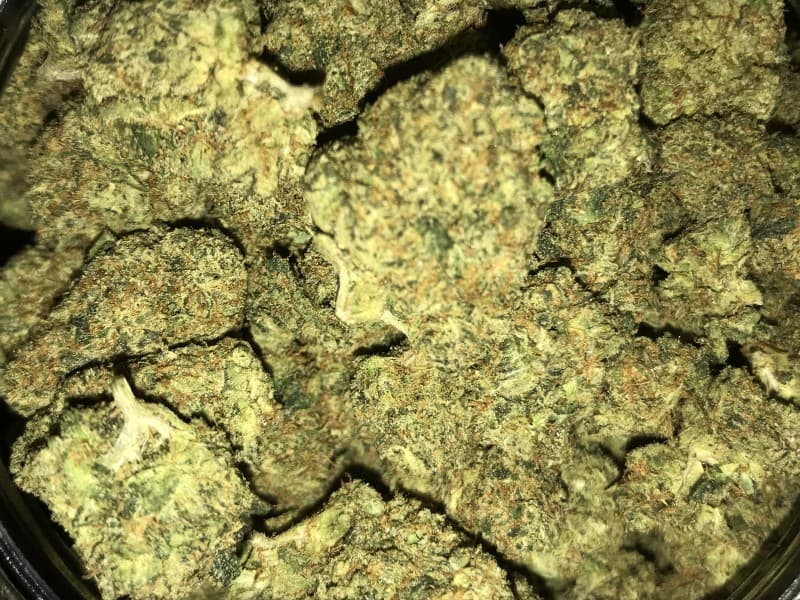 Yoda OG cannabis strain, community photo 5