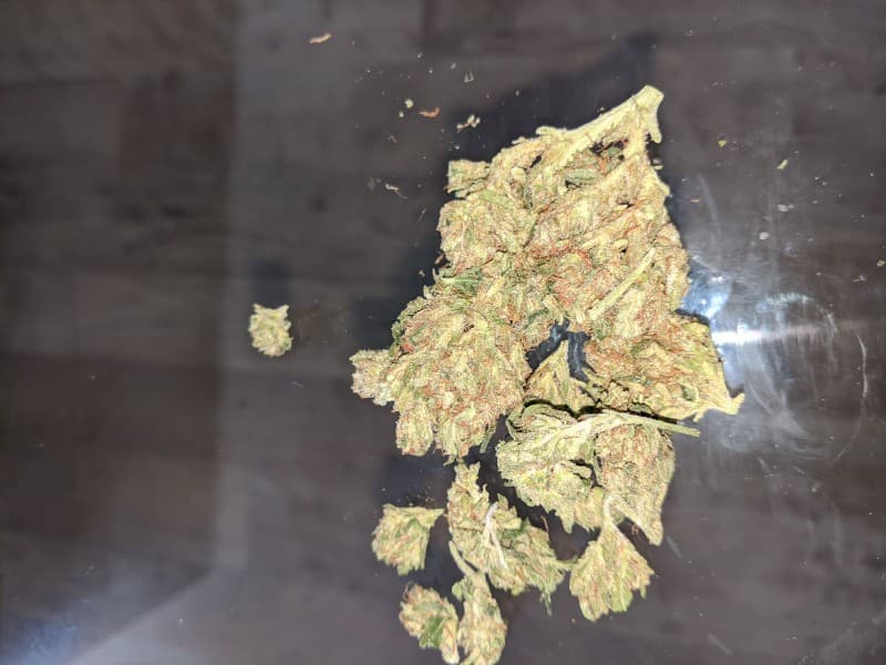 Yoda OG cannabis strain, community photo 6