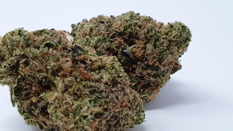 Z Cube cannabis strain, community photo 2