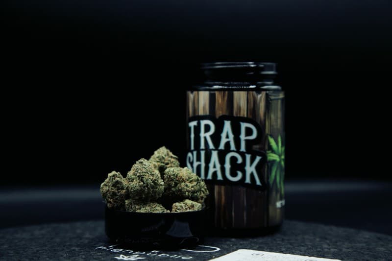Zkittlez cannabis strain, community photo 1
