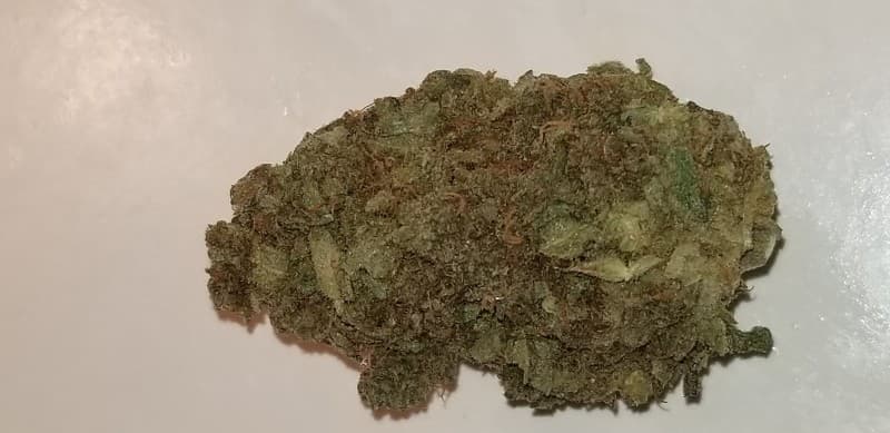 Zkittlez cannabis strain, community photo 10