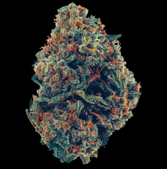 Zkittlez cannabis strain, community photo 2