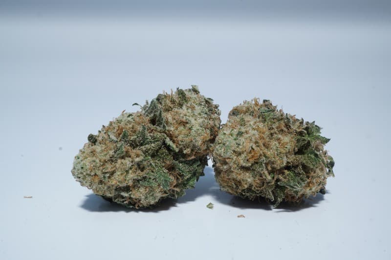 Zkittlez cannabis strain, community photo 3
