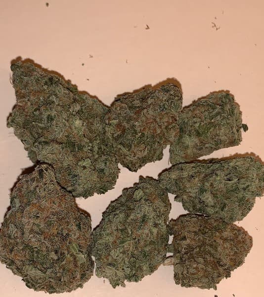 Zkittlez cannabis strain, community photo 5