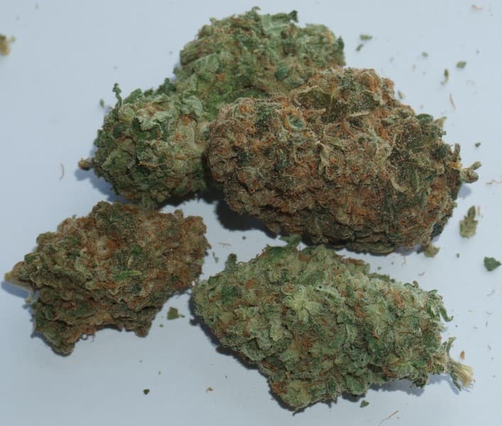 Zkittlez cannabis strain, community photo 6