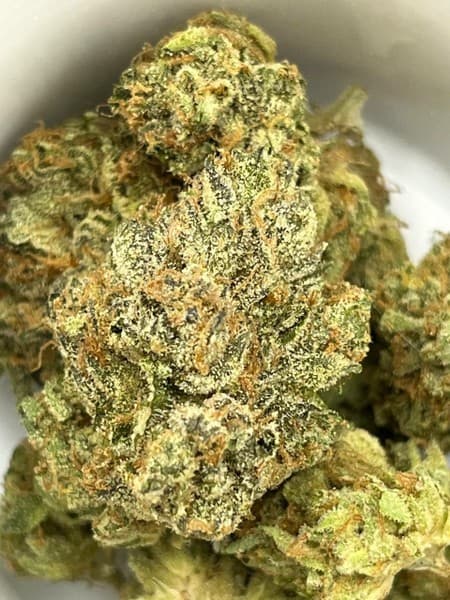 Zkittlez cannabis strain, community photo 8
